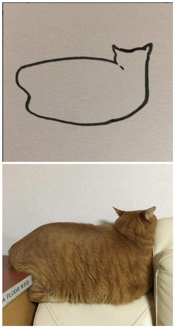 【贫民窟养猫少女喵】独家原创禁止一切搬运、抄袭、洗稿等行为