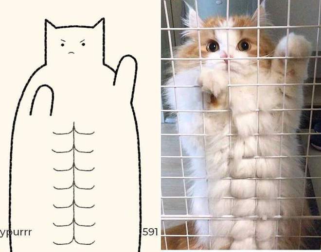 【贫民窟养猫少女喵】独家原创禁止一切搬运、抄袭、洗稿等行为