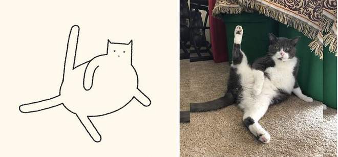 【贫民窟养猫少女喵】独家原创禁止一切搬运、抄袭、洗稿等行为