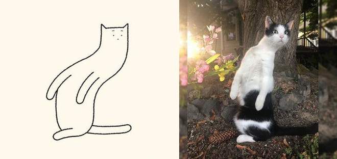 【贫民窟养猫少女喵】独家原创禁止一切搬运、抄袭、洗稿等行为