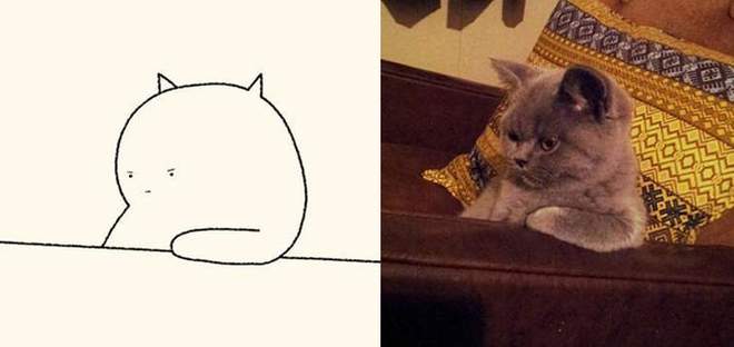 【贫民窟养猫少女喵】独家原创禁止一切搬运、抄袭、洗稿等行为