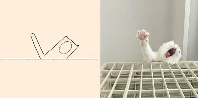 【贫民窟养猫少女喵】独家原创禁止一切搬运、抄袭、洗稿等行为