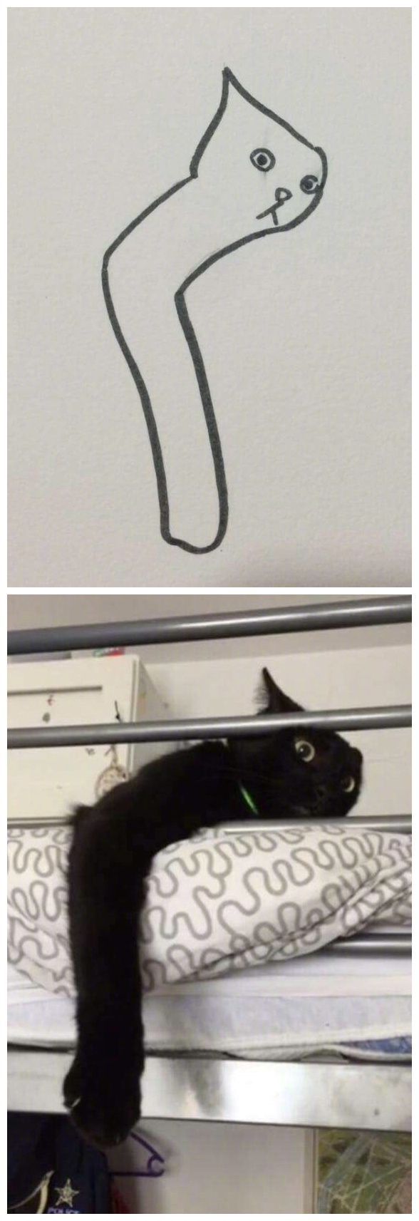 【贫民窟养猫少女喵】独家原创禁止一切搬运、抄袭、洗稿等行为