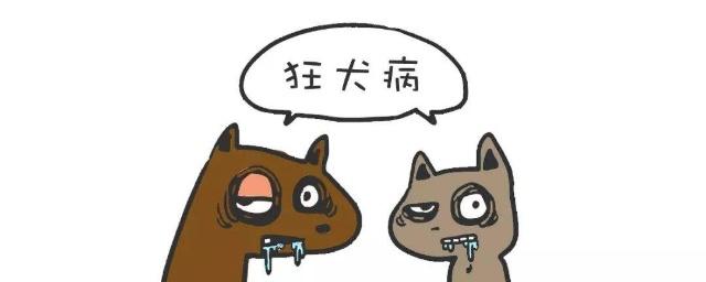 狗狗疑患狂犬病的6大征兆，你知道几个？