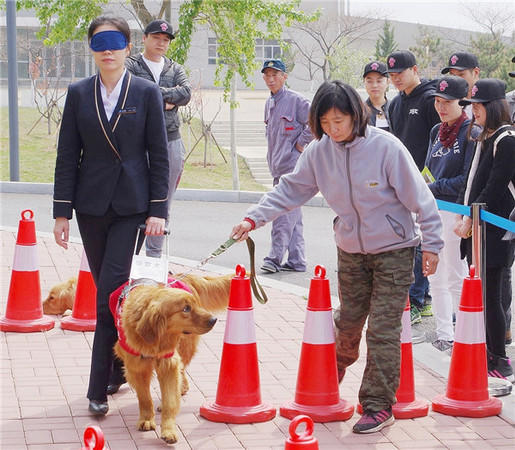 导盲犬被质疑“奢侈”骗局？中国盲协主席：免费给盲人使用 养护成本相当于普通宠物