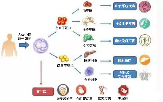 狗病_狗疯狗病_在宠物店买到病狗怎么维权