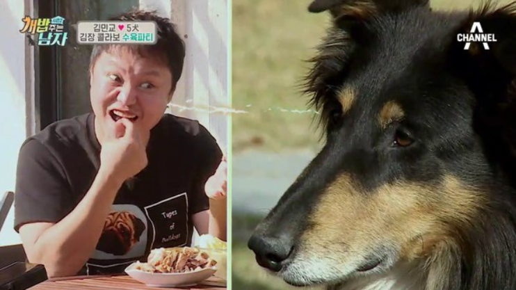 金民教因狗咬死80岁老奶奶爱犬被处罚8个月