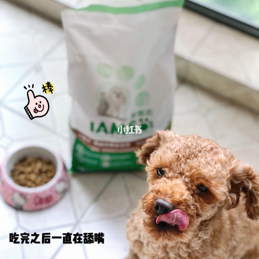 肉球用头发绑有危害吗_肉用狗有哪些品种_肉肉植物品种水蜜桃