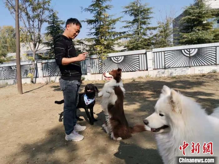 中国“文明养犬”行动开展规范化养犬与接受度逐渐提升