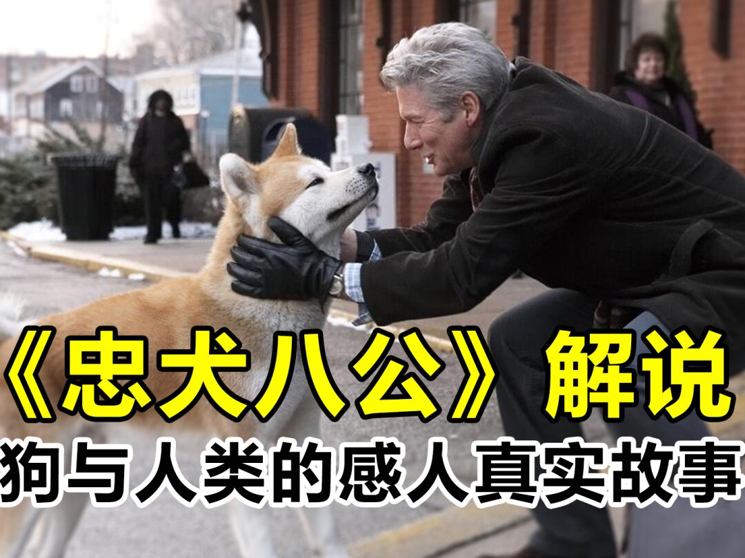 忠犬八公拍摄用几条狗_忠犬八公是什么品种狗_忠犬八公是什么品种的狗