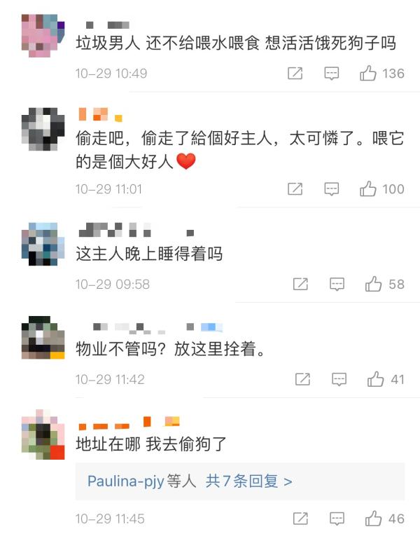 上海主人将金毛犬长期锁楼道：为减少大小便，不允许邻居喂食喂水