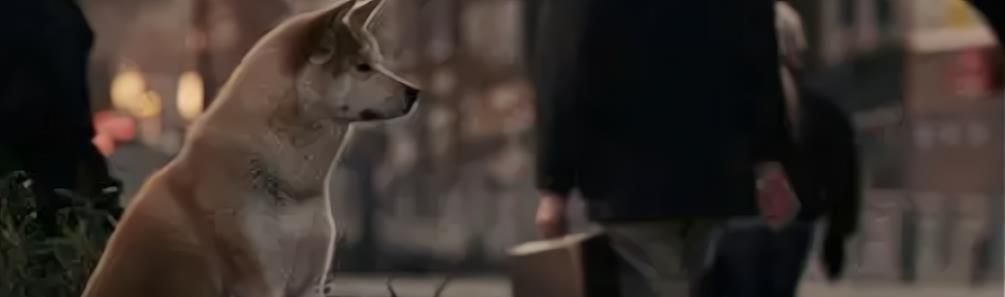 《忠犬八公的故事》原型是一只秋田犬