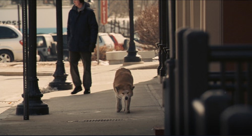 忠犬八公和忠犬八公物语_忠犬八公是什么品种狗_忠犬八公是什么品种的狗