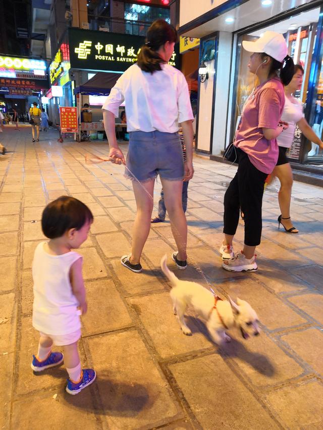 “女不养狗”，但很多单身女性都养了一条狗，这是为啥呢？