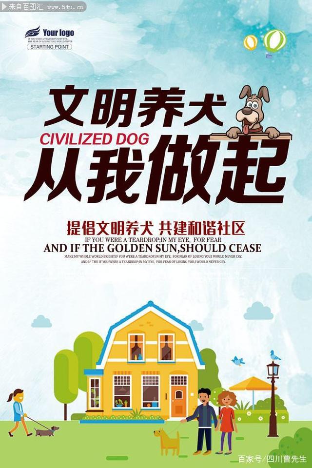 成都启动犬只管理专项整治，狗是人类最忠诚的朋友