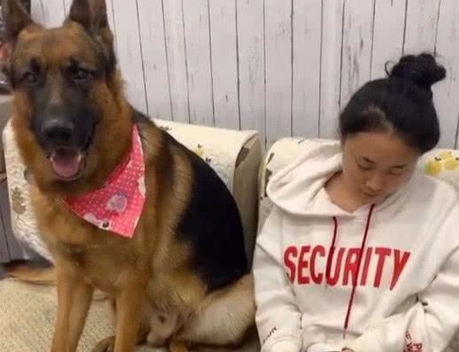 女不养狗的原因，有一条却非常有意思！