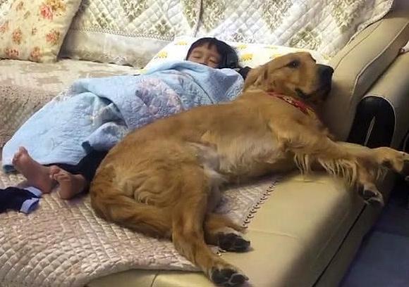 狗狗心事 下载_狗狗心事2_狗狗心事电子书txt