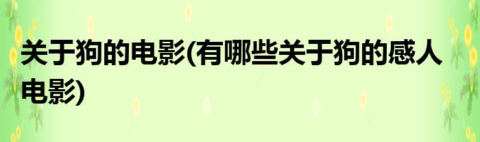 《忠犬八公的故事》导演被誉为茜实地