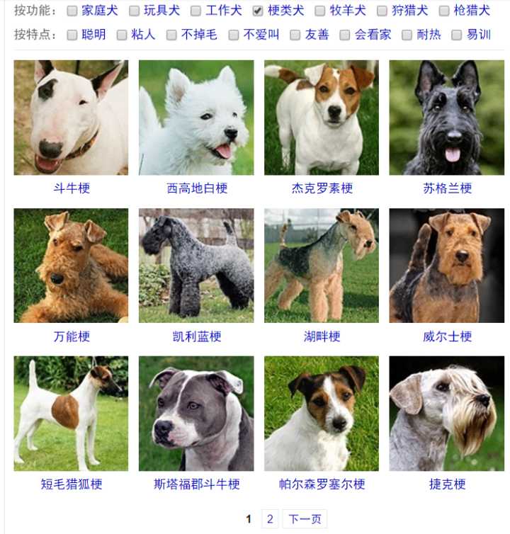 土狗跟品种狗怎么分辨_各种串串狗品种大全及图片_串串狗怎么分辨品种