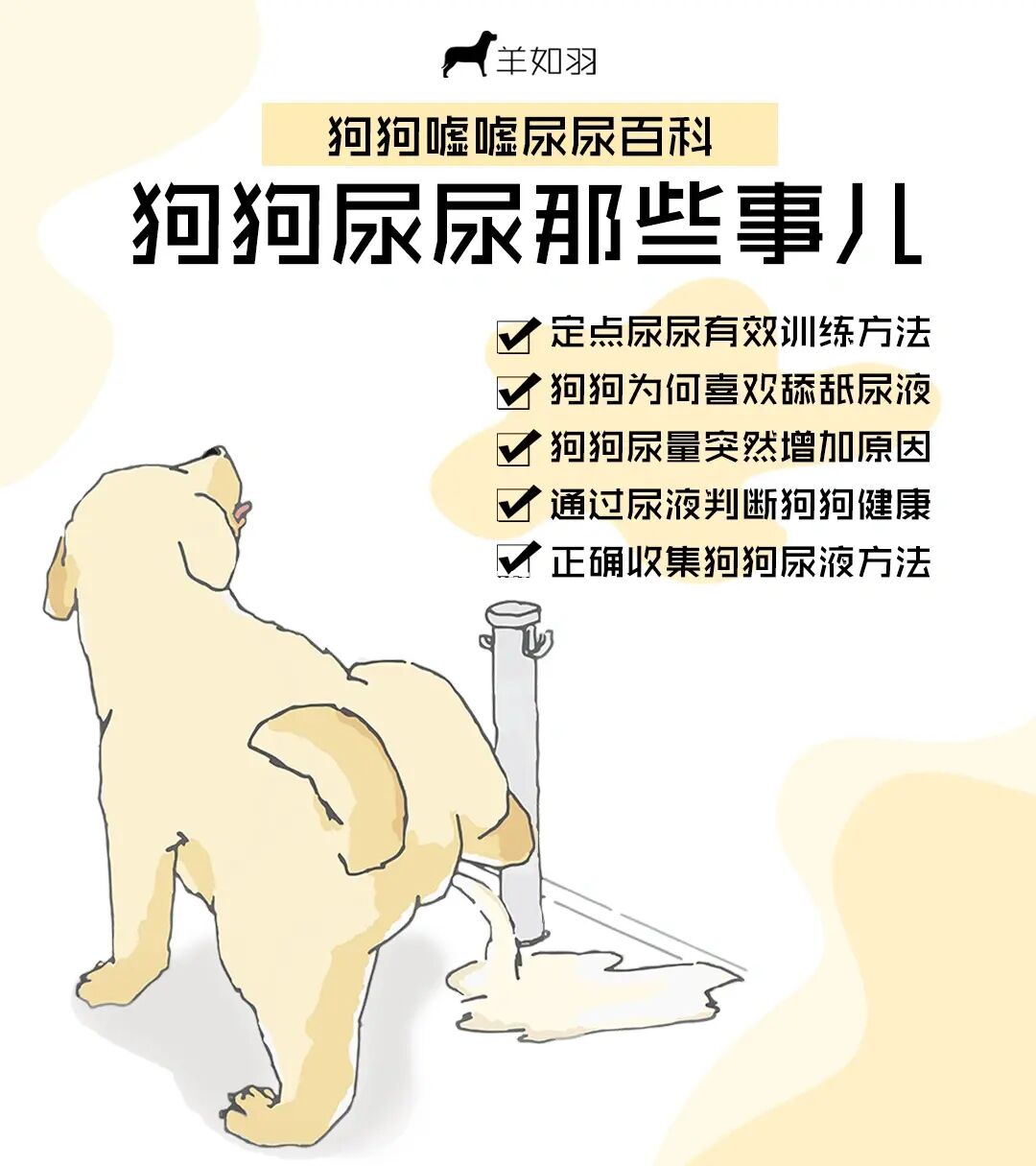 vipr训练前后蹲_训练狗狗蹲_猫多大训练蹲马桶