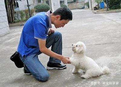 只有一个月大的狗狗，我们应该教它多少东西呢？
