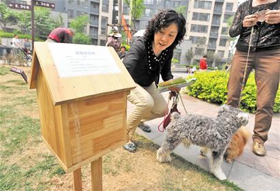 偷狗的人让狗跟着他_养一只狗好还是养两只狗好_小区不让养狗