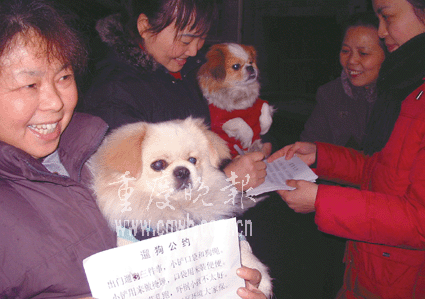 养什么狗最赚钱又好养_泰迪狗好养还是比熊好养_深圳养狗规定