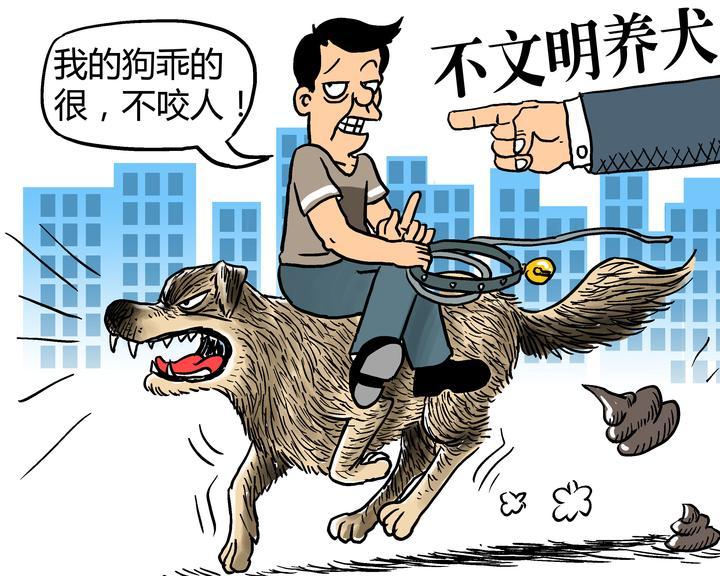 深圳市关于养狗的条例_新手养什么狗最好,要聪明的狗_天津最新养狗条例
