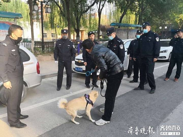 小区不让养狗_养哪几种狗好养能赚钱_新手养什么狗最好，要聪明的狗