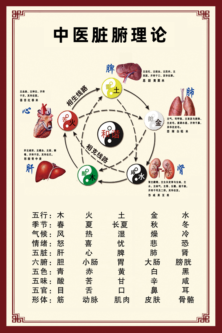 疯狗病 狗脑髓_杨增良谢海洲论治脑髓病_疯狗病狗还吃东西吗