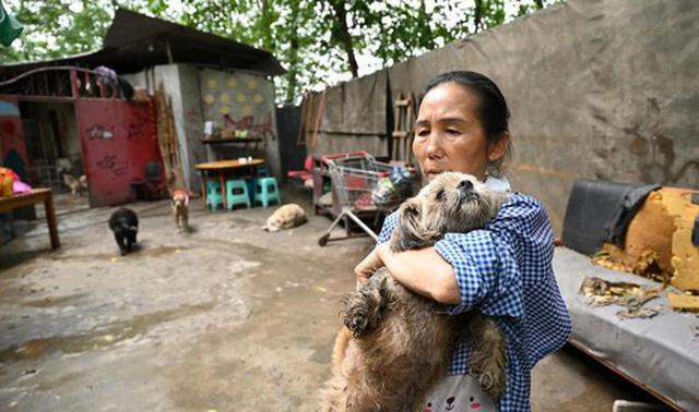 爱心人士为养活猫狗不惜卖掉房子和儿女下跪乞讨