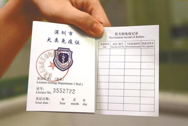 我抛弃了一只病狗_病狗_狗布鲁氏杆菌病