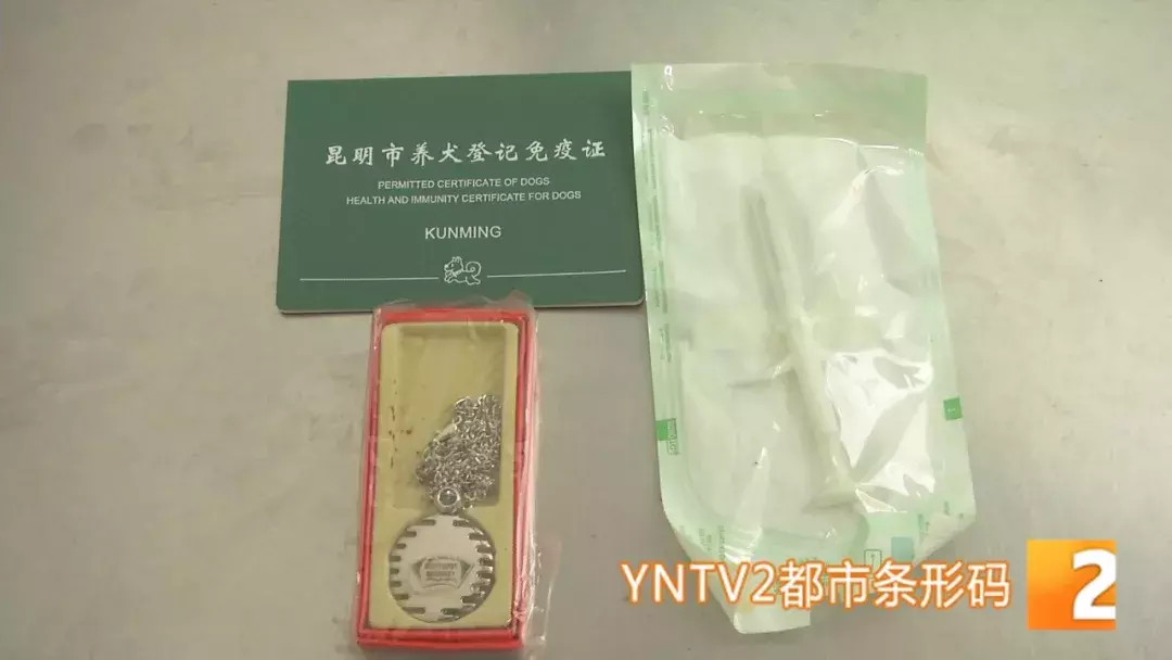 昆明狗证登记火爆，但是芯片已过三年保质期，养犬管理遇尴尬！