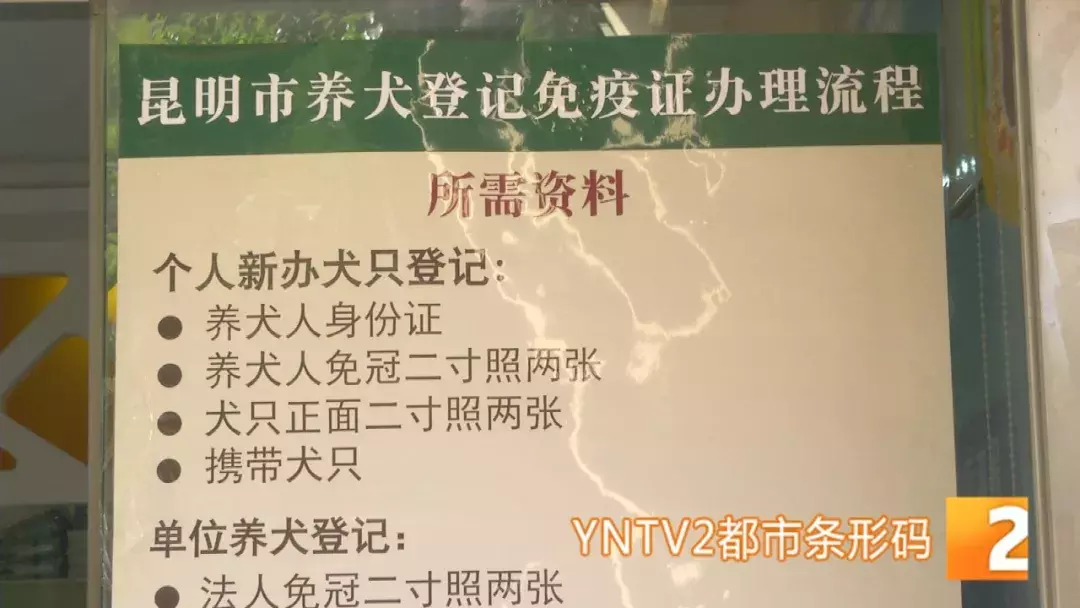 昆明狗证登记火爆，但是芯片已过三年保质期，养犬管理遇尴尬！