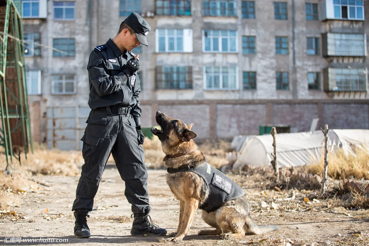 草根警犬图片