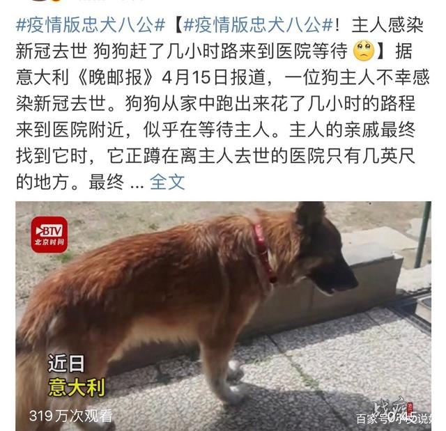 《忠犬八公的故事》之就是忠犬