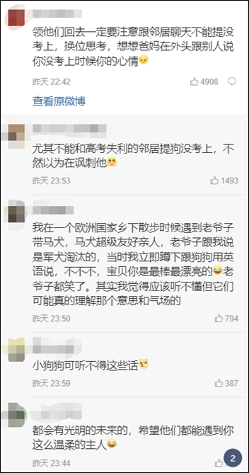 狗生不易原来“考”不上警犬会被淘汰(图)