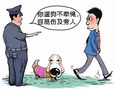 燕南辖区发生“狗扑娃”事件，请“铲屎官”文明养狗~