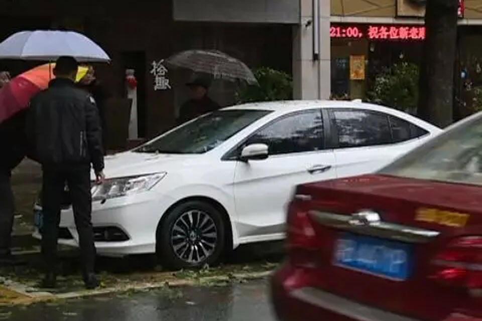 深圳一小狗突然冲出马路被撞死狗主人将其车拦