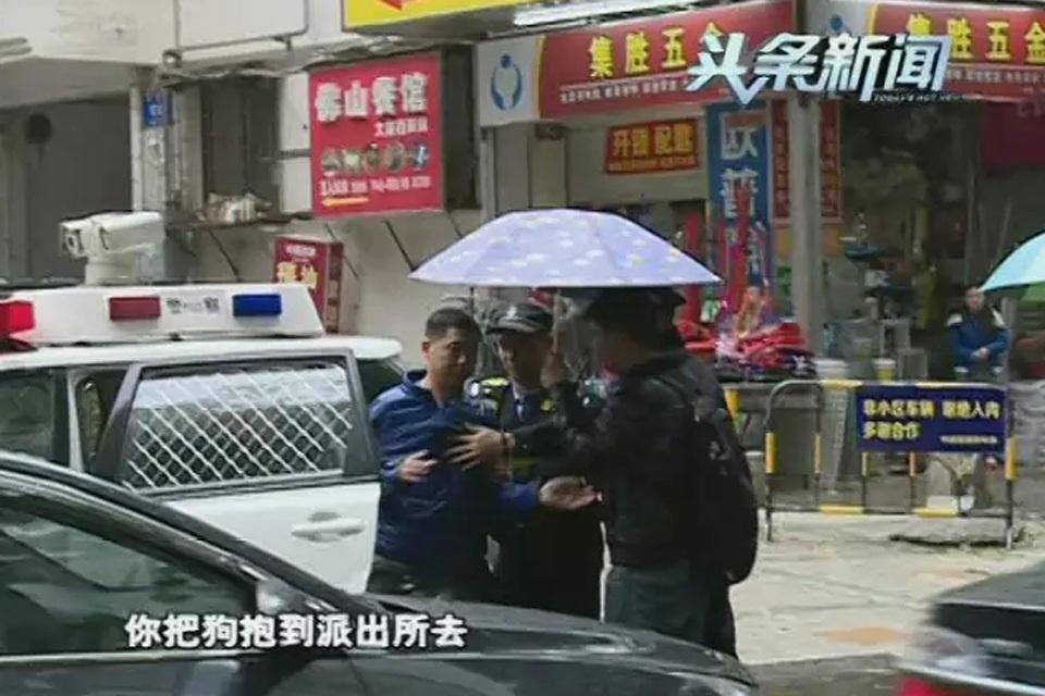 深圳一小狗突然冲出马路被撞死狗主人将其车拦