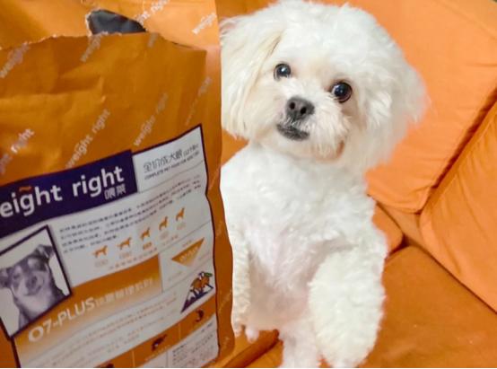 一是关于犬只免疫，疫苗接种时要注意的事项！