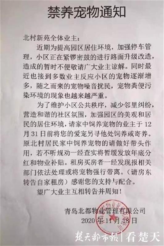 山东青岛一小区物业张贴禁养宠物居民意见不一拍手称赞
