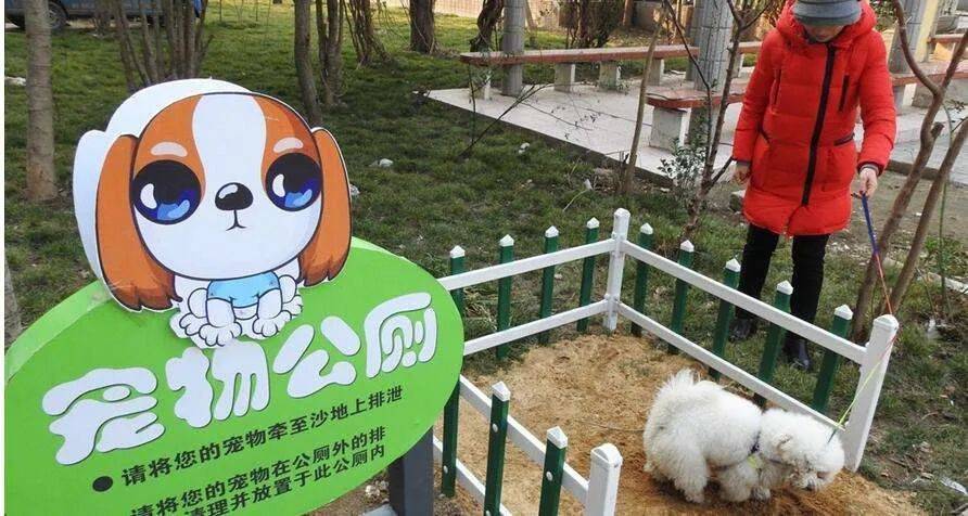 青岛养狗条例_相狗秘诀什么狗养不得_深圳市关于养狗的条例