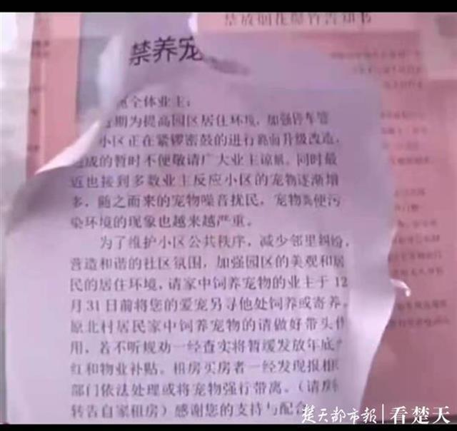 山东青岛一小区物业张贴禁养宠物居民意见不一拍手称赞