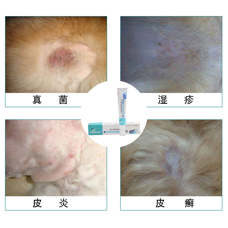 一些常见狗病防治_牛病大全牛病防治技术_感染科常见那些病病