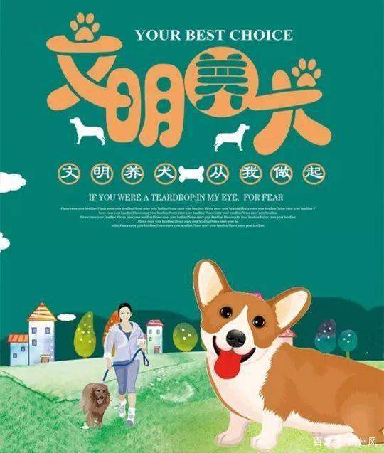 周围哪有卫生防疫站_新手养什么狗最好，要聪明的狗_养狗影响周围卫生环境举报电话