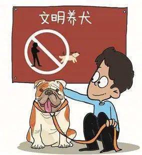 哈士奇是北京限养犬吗_北京可以养哈士奇吗_哈士奇是阿拉斯加犬吗