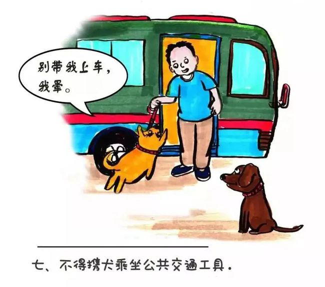 哈士奇是阿拉斯加犬吗_北京可以养哈士奇吗_哈士奇是北京限养犬吗