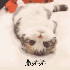 租客在我的房子里养猫养狗了