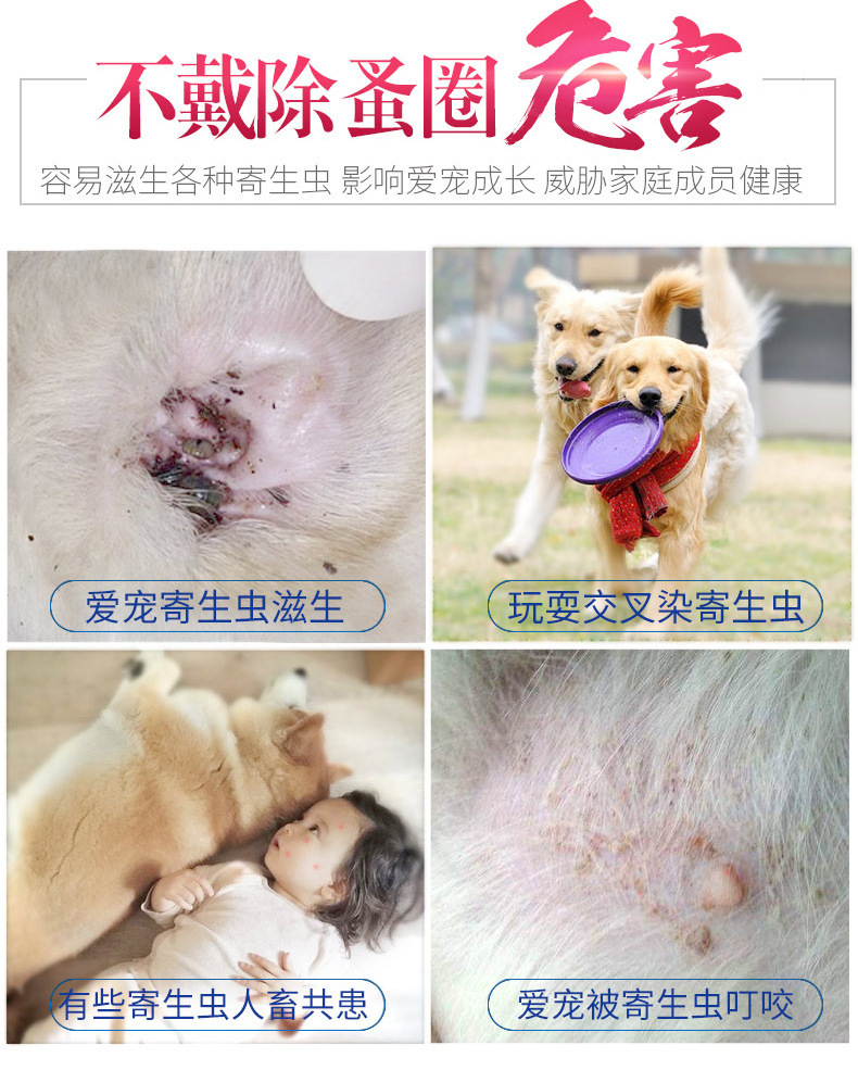 养狗养猫_狗和猫能同时养吗_上海猫背猫奶奶卖房子养流浪猫